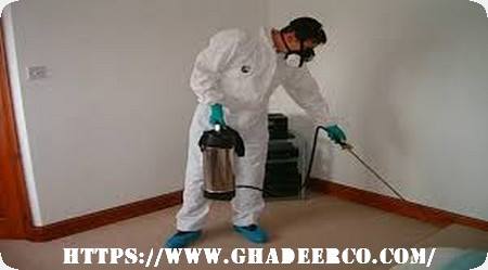 شركة مكافحة حشرات بالكويت