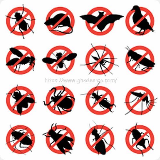 شركة رش مبيدات بالجبيل