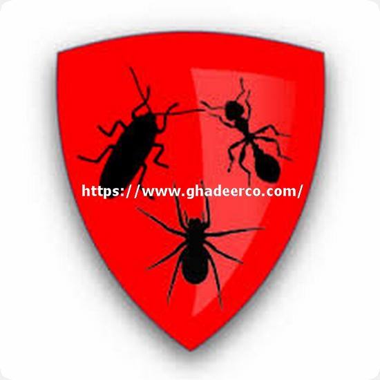 شركة رش البق بالظهران