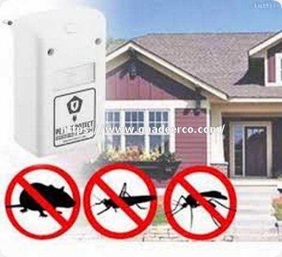 شركة مكافحة الحمام بالرياض