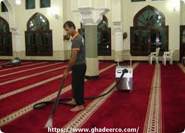 شركة رش النمل الابيض بالقطيف