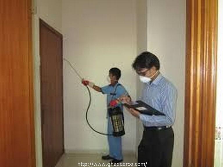 شركة رش مبيدات بالظهران