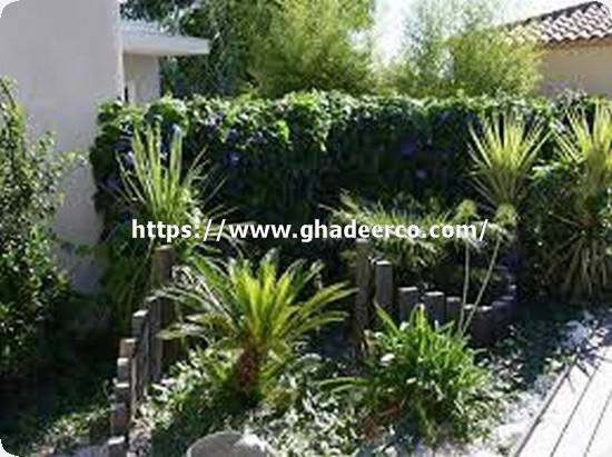 شركة تنسيق حدائق بصفوى