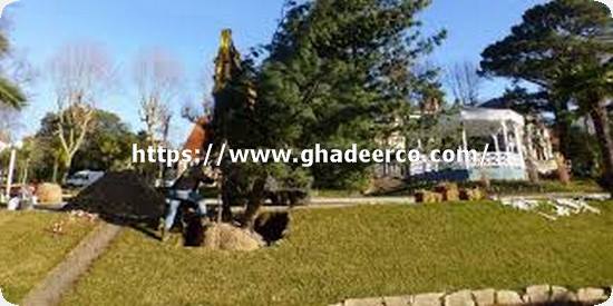 شركة تنسيق حدائق بالاحساء