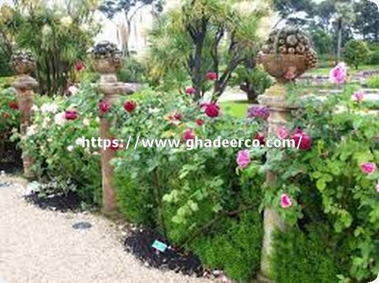 شركة تنسيق حدائق بالاحساء