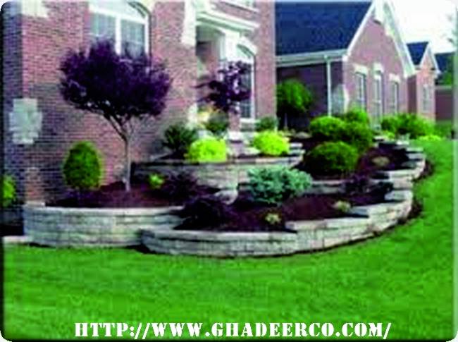 شركة تنسيق حدائق بالخفجى