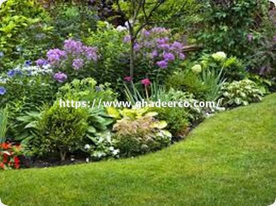 شركة تنسيق حدائق ببقيق