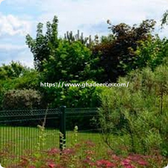 شركة تنسيق حدائق بصفوى