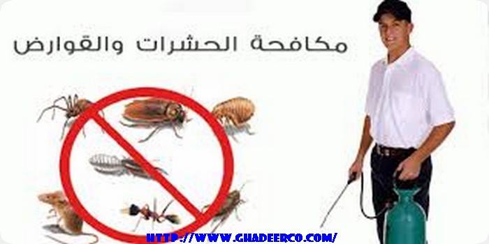 شركة مكافحة الصراصير بصفوى