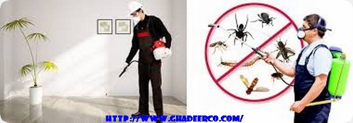 شركة رش مبيدات بصفوى