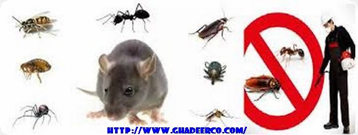 شركة المثالية للتنظيف بالخبر