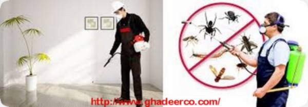شركة مكافحة النمل الأبيض بالقصيم