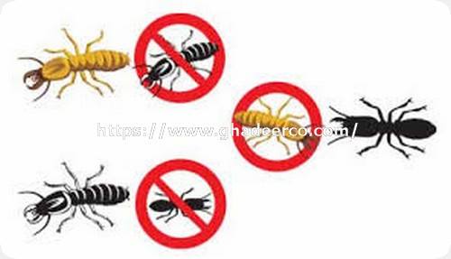 شركة ماسه لمكافحة الحشرات بالدمام