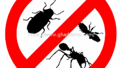 شركة رش مبيدات بعنك