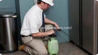 شركة مكافحة حشرات بعنك