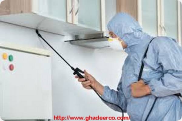 شركة رش مبيدات ببريدة