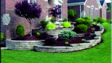 شركة تنسيق حدائق بام الساهك