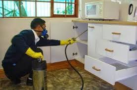 شركة مكافحة حشرات بعرعر