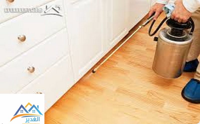 تنظيف المنزل من الحشرات